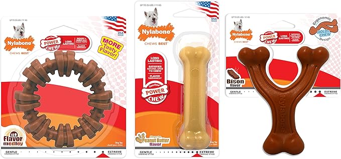 Nylabone Power Chew Toys Customer Favorites Bundle - Dog Toys for Aggressive Chewers, Indestructible Dog Toys for Small Dogs in 3 Shapes and Flavors - Flavor Medley, Small/Regular (3 Count)