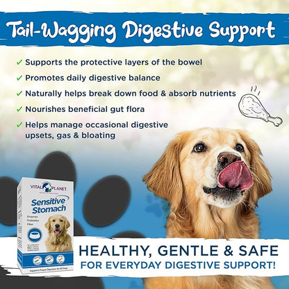 Vital Planet - Sensitive Stomach for Dogs with Enzymes, Probiotics and Fiber, Natural Digestive Support for Upset Stomach with Fennel, and Peppermint, 60 Chicken Flavored Chewable Tablets