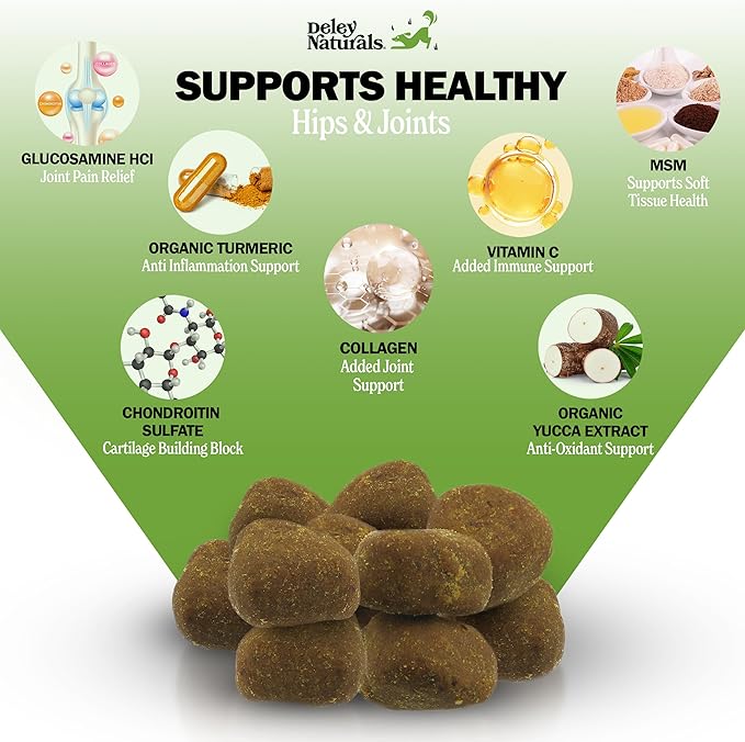 Hip and Joint Support Supplement for Dogs - Advanced Arthritis Pain Relief - Chondroitin, MSM, Organic Turmeric, & Glucosamine for Dogs - Made in USA - 120 Grain Free Soft Chews, Deley Naturals