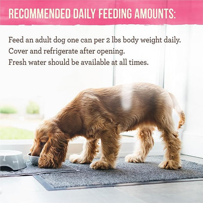 Merrick Lil’ Plates Petite Pates Premium Grain Free Wet Dog Food Variety Pack, Natural Beef, Chicken, Turkey - (Pack of 12) 3 oz. Cans