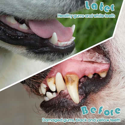 Gerrii 200 Pcs Dog Toothbrush Double Headed Dog Pet Toothbrush Long Handle Dog Tooth Brushing Kit Soft Bristles Pet Toothbrush for Dogs Cat and Most Pets Teeth Cleaning Dental Oral(White)
