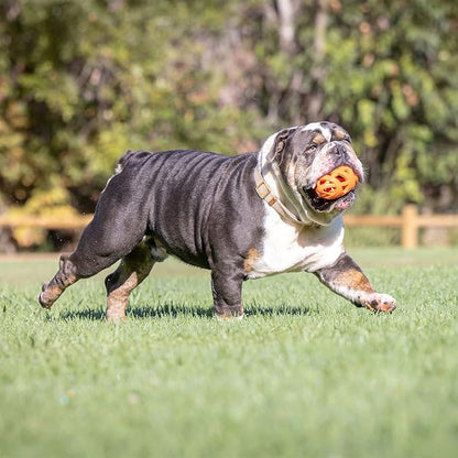 Chuckit Air Fetch Football Dog Toy, Orange