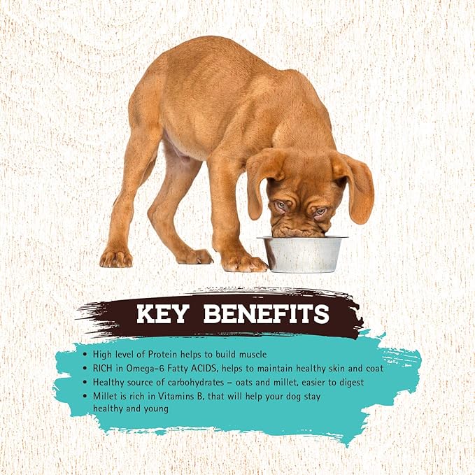 Inception® Wet Dog Food Fish Recipe – Complete and Balanced Dog Food – Legume Free Meat First Wet Dog Food – 12/13oz case