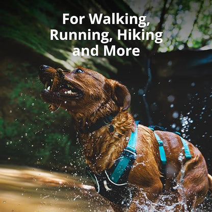 Ruffwear, Flagline Dog Harness, Lightweight and Reflective, No Pull Dog Lift Harness for Hiking, Running and Everyday Use, Lichen Green, Large/X-Large