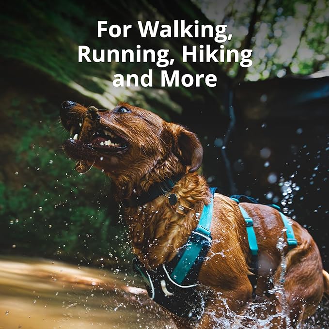 Ruffwear, Flagline Dog Harness, Lightweight and Reflective, No Pull Dog Lift Harness for Hiking, Running and Everyday Use, Red Rock, Small