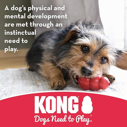 KONG Stuff-A-Ball - Durable Chew Toy for Dogs - Natural Rubber Dog Toy for Dental Health - Pet Toy for Chewing & Teeth Cleaning - Stuffable Toy for Dog Treats & Snacks - for Small Dogs