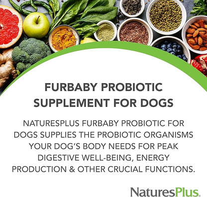 NaturesPlus FurBaby Probiotic for Dogs - 9.5 oz - Supports Digestive, Heart, Liver & Immune Health - 60 Servings