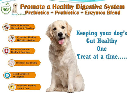 Probiotics Chews for Dogs, Digestive Enzymes + Prebiotics Improves Digestion, Diarrhea, Constipation, Gas, Bad breath, Leaky gut, Allergy Immunity Daily Supplement 120 Counts