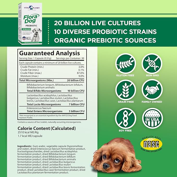 Vital Planet - Flora Dog Probiotic Capsules Supplement with 20 Billion Cultures and 10 Strains, High Potency Immune and Digestive Support Probiotics for Dogs, 30 Delayed Release Capsules