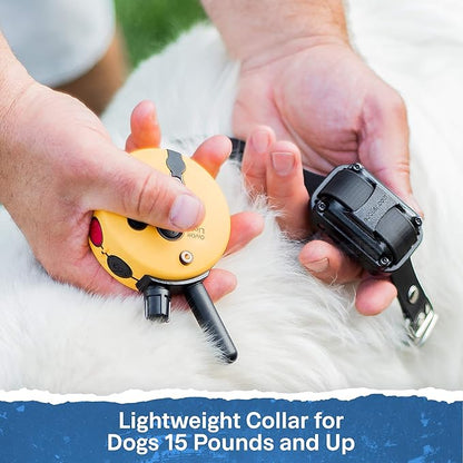 E-Collar - ET-300-1/2 Mile Remote Waterproof Trainer Mini Educator Remote Training Collar - 100 Training Levels Plus Vibration and Sound - includes PetsTEK Dog Training Clicker