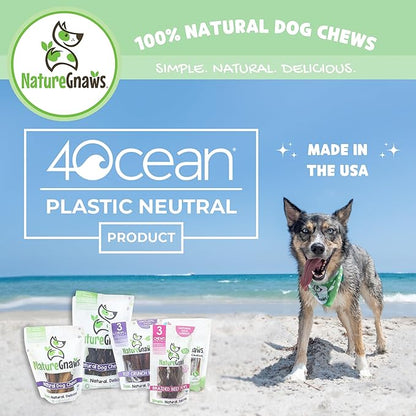 Nature Gnaws Chicken Jerky for Dogs – Made in The USA – Premium Natural Grain Free Dog Chew Treats – 2lb