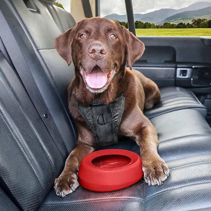 Kurgo Splash Free Wander Water Bowl, No Spill Dog Travel Bowl, Portable No Mess Water Bowl for Dogs, Splash Less Pet Bowl for Car Travel, Dog Travel Accessories, 24 oz, Chili Red