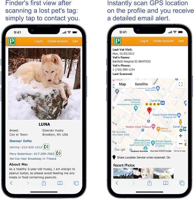 Premium NFC-QR Code Pet ID Tags - Dog Tags and Cat Tags, Connect to Online Pet Profile, Receive Instant Scanned Location Email Alert(Gold Paw)