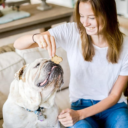 Cloud Star Wag More Bark Less - Dog Treats - Crunchy Biscuits - Grain Free Chicken & Sweet Potato - 14 oz Box (Pack of 2)