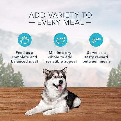 Blue Buffalo Wilderness High Protein Natural Adult Wet Dog Food Plus Wholesome Grains, Chicken & Salmon Grill 12.5-oz Cans (Pack of 12)