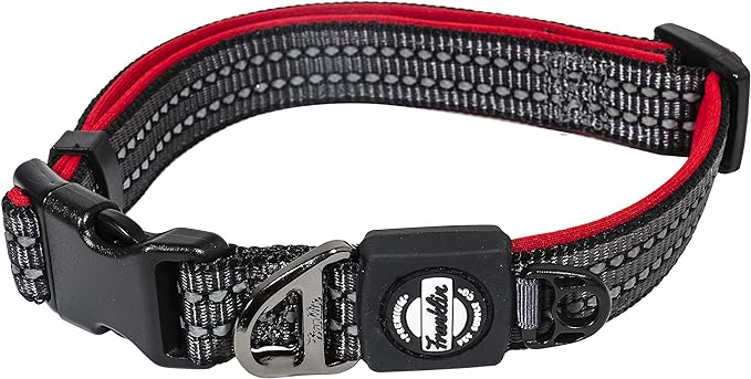 Nylon Dog Collar – Reflective – Franklin Pet Supply Co™ – Comfort Fit – Neoprene – Adjustable – Small – Red