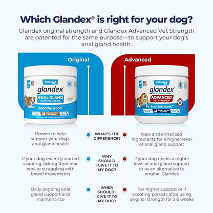 Glandex Anal Gland Soft Chew Treats with Pumpkin for Dogs Digestive Enzymes, Probiotics Fiber Supplement for Dogs Boot The Scoot (Advanced Strength Duck/Bacon Chews (Vegetarian), 120ct)