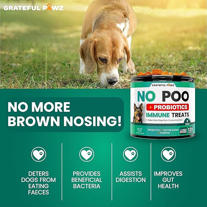 Grateful Pawz No Poo Chews for Dogs - Coprophagia Stool Eating Deterrent for Dogs -120 Chews Prevent Dog from Eating Poop - Stop Eating Poop for Dogs Supplement