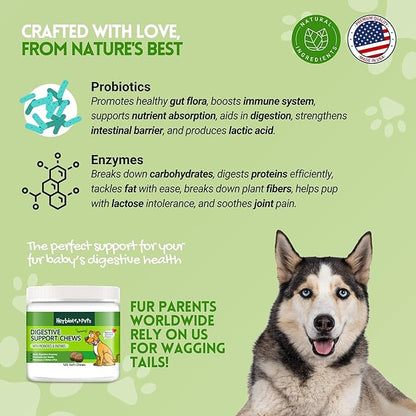 Herbion Pets Digestive Support Chews with Probiotics and Enzymes, 120 Soft Chews - with Daily Digestive Enzymes - for Improved Gut Health - Minimum 2 Billion CFUs - Made in USA - for Dogs 12 Weeks+