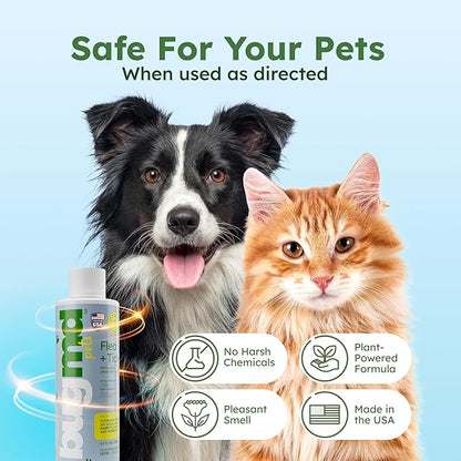 BugMD Flea and Tick Concentrate (3.7 oz)- Essential Oil-Powered Formula, Controls Fleas, Ticks, Mites in Dogs, Cats, and Other Furred Animals, Spray on Pet Beds, Kennels