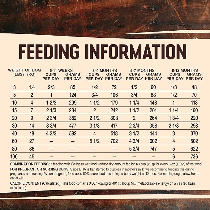 Wellness CORE Natural Dry Grain Free Puppy Food, Chicken & Turkey, 26-Pound Bag