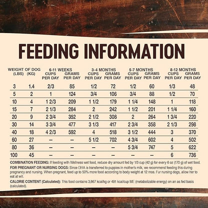 Wellness CORE Natural Dry Grain Free Puppy Food, Chicken & Turkey, 26-Pound Bag