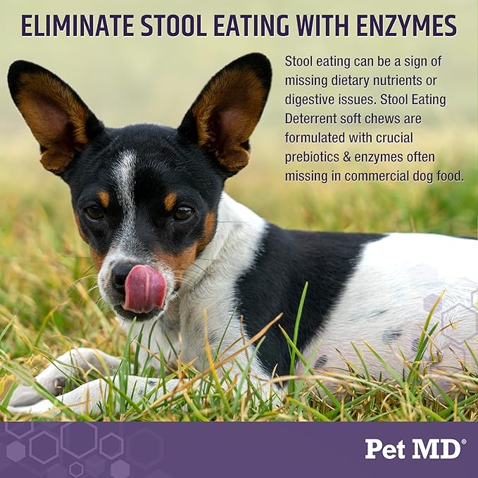 Pet MD Stool Eating Deterrent - Prevent Dog from Eating Poop - Coprophagia Aversion with Enzymes, Herbs, & Prebiotics for Digestive Support & Fresh Breath - Stop Stool Eating Chews - 60 ct