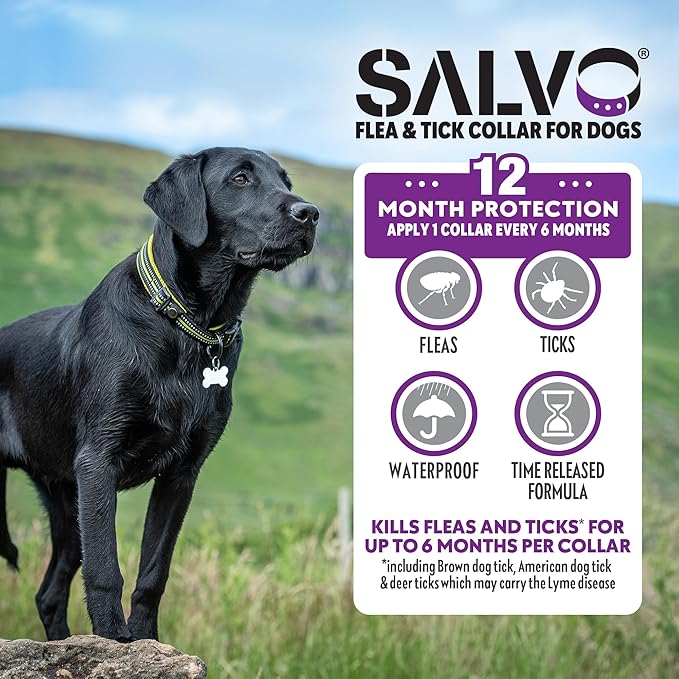 SALVO Flea and Tick Collar for Dogs - Pack of 2 for 12 Months of Protection - Flea and Tick Prevention for Dogs (Large)