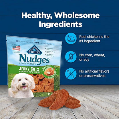 Blue Buffalo Nudges Jerky Bites Dog Treats, Made in The USA with Natural Ingredients, Bite-Sized Pieces, Chicken, 16-oz. Bag (Pack of 2)