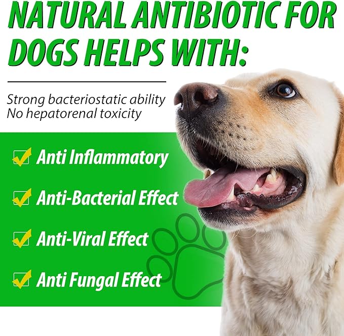 Antibiotics for Dogs, Natural Dog Antibiotics Supports Dog Allergy and Itch Relief, Dog Supplies Antibiotics, Dog Multivitamin for Pets, Bacon Flavor - 60ml x 2