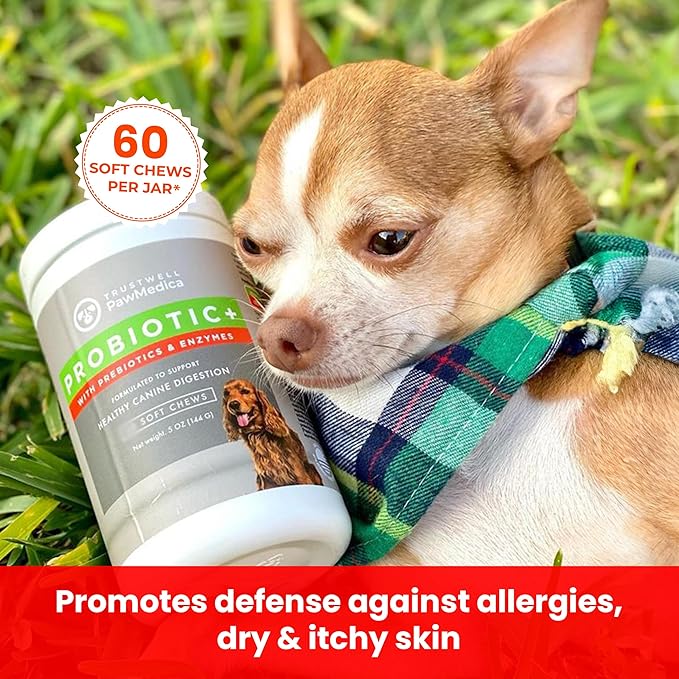 PawMedica Dog Probiotics and Digestive Enzymes, Probiotics for Dogs Made in USA, Pet Probiotic Chews for Dogs, Prebiotics & Probiotic Dog Digestive Support, Probiotic Treats - 60 Dog Probiotic Chews