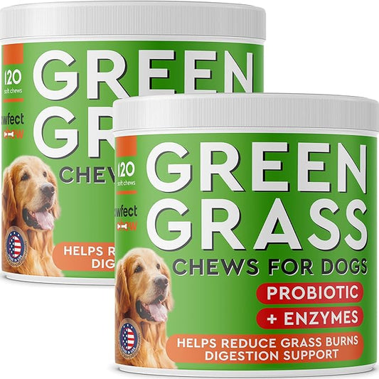 Green Lawn Chews for Dogs - Green Grass Chews - Urine Neutralizer Grass Burn Spots - Lawn Burn from Dog Urine - Probiotics & Enzymes - Made in USA - Bacon Flavor - 240 Lawn Saver Chews