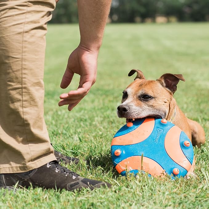 Chuckit Whistle Flight Outdoor Dog Toy, Orange and Blue
