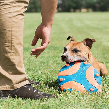 Chuckit Whistle Flight Outdoor Dog Toy, Orange and Blue