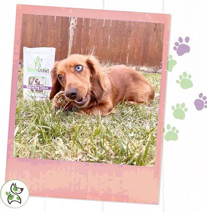 Nature Gnaws - Pork Bully Stick Pretzels for Dogs - Premium Natural Pork Dental Chews - Jerky Treats for Puppies and Small Breeds - Rawhide Free