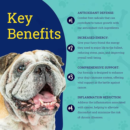Immune Guard - Advanced Support for Dogs with Cancer- Natural Ingredients - Peanut Butter Flavor - APRX. 55 Soft Chews