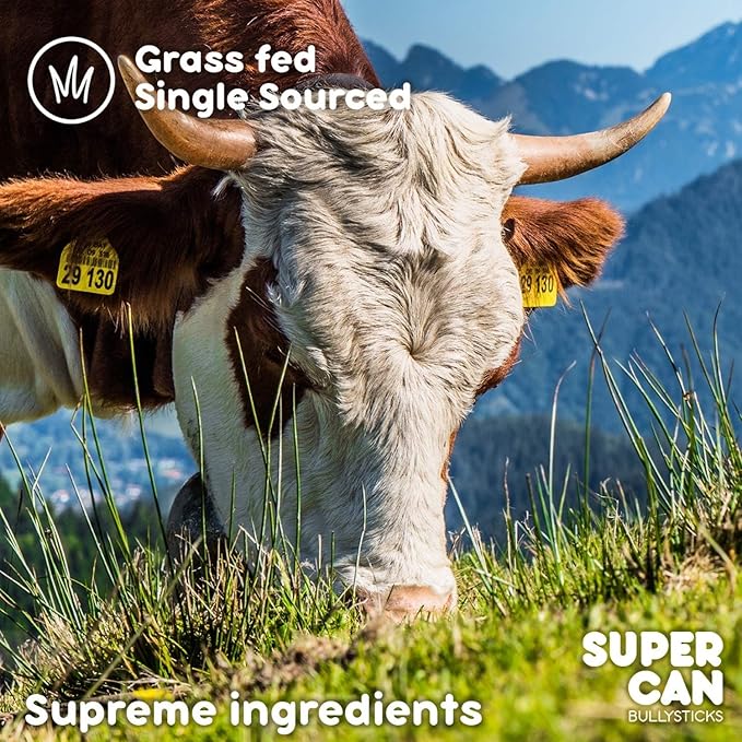 6" Beef Gullet Sticks For Dogs (10 count) | Natural Beef Jerky Chews For Puppies & Large Dogs | Glucosamine Rich Dog Treats For Healthy Joints | Softer Than Bully Sticks | Supercan Made