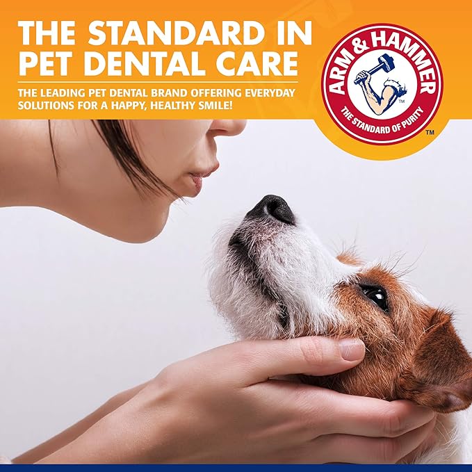 Arm & Hammer for Pets Tartar Control EZ Clean 360 Dental Tool for Small Dogs, Baking Soda Toothpaste Included |Refillable Dog Dental Toy for Easy Dog Teeth Cleaning |Fun Way to Promote Dental Health
