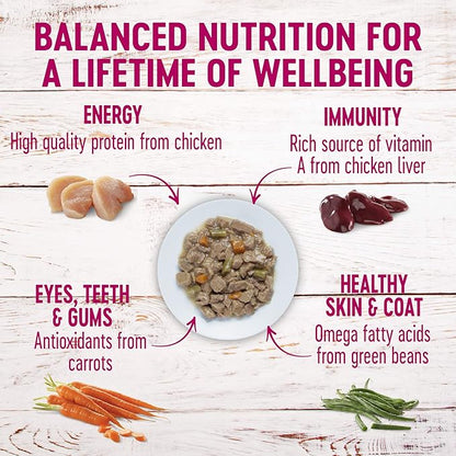Wellness Petite Entrees Mini Filets Grain Free Natural Wet Small Breed Dog Food, Roasted Chicken & Beef, 3-Ounce Cup