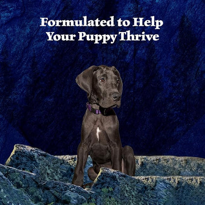 Blue Buffalo Wilderness High Protein, Natural Puppy Wet Dog Food, Turkey & Chicken Grill 12.5-oz cans (Pack of 12)