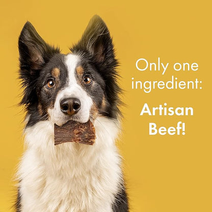 Visionary Pet Foods - Organic Beef Jerky Dog Treats | Grain Free, Healthy and Natural Pet Snacks | Training Treats or Chewable Dental Dog Snack for Small, Medium or Large Breeds 10oz Bag, 248g