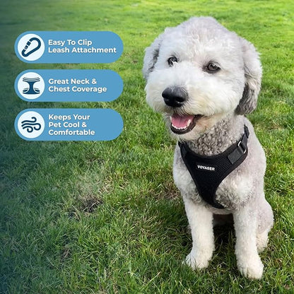 Voyager Step-in Lock Dog Harness w Reflective Dog Leash Combo Set with Neoprene Handle 5ft - Supports Small, Medium and Large Breed Puppies/Cats by Best Pet Supplies - Black, XL