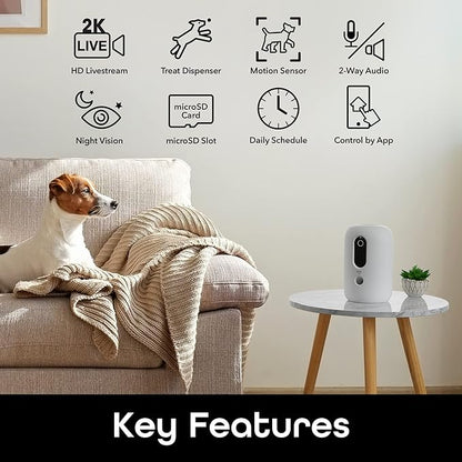 Geeni PetConnect Treat + Cam, Smart Treat Dispenser with Smart Home Pet Camera, Timer & Voice, Automatic Dog or Cat Feeder, Compatible with Alexa & Google
