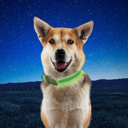 Nite Ize NiteDog Rechargeable LED Collar - Light Up Dog Collar with Durable Metal Buckle - Water-Resistant & Rechargeable Collar - Dog Supplies for Night Activities - Large, Lime