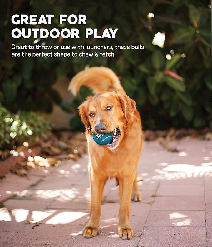 Outward Hound Squeaker Ballz Fetch Dog Toy, Small- 4 Pack