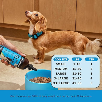 Pet Honesty Dog Skin and Coat Supplement with Salmon Oil for Dogs - Allergy Itch Relief + Skin & Coat Health, Dog Food Topper Bone Broth with Salmon Oil, Collagen, Biotin + Vitamin E (12 oz)