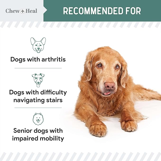 Glucosamine for Dogs Hip and Joint Supplement - 120 Soft Chews for Senior Dogs with Glucosamine, Chondroitin, MSM, Vitamin C, and Omegas - for Mobility, Cartilage, and Joint Health