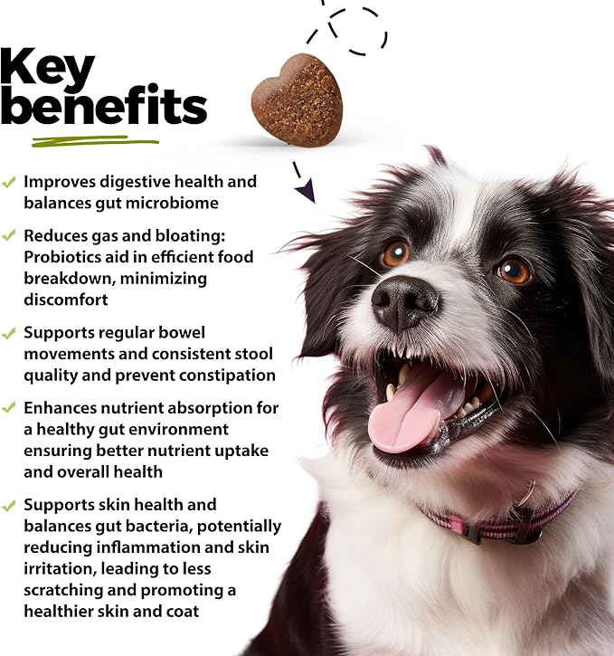ANP Advanced Prebiotic & Probiotic Natural Chews for Dogs - No Animal Proteins, Gut Flora Health, Clinically Studied ProSEB Multi® for Digestive Health, including Diarrhea Relief and Bowel Stability