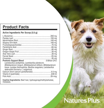 NaturesPlus FurBaby Digestive Support for Dogs - 7.4 oz - Promotes Optimal Digestion - Non-GMO - 60 Servings