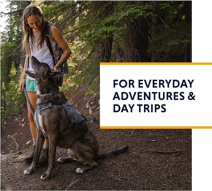 Ruffwear, Switchbak Dog Harness, Pack & Harness Hybrid for Day Trips & Everyday Use, Granite Gray, Small